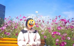 国产又爽又黄又爽又刺激